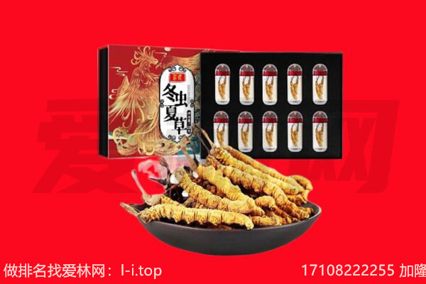 宁陵县回收虫草.jpg